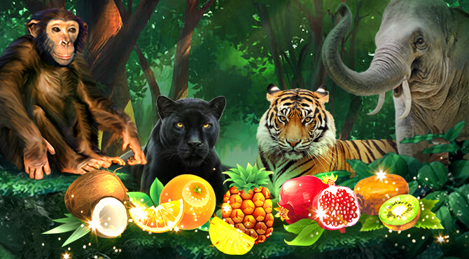 Jungle